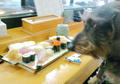 blog090403_30.jpg