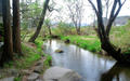 blog090404_5.jpg