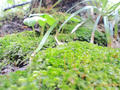 blog090508_1.jpg