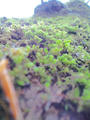blog090508_2.jpg