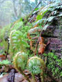 blog090508_3.jpg
