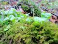blog090508_4.jpg