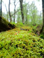 blog090508_6.jpg