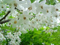 blog090519_2.jpg