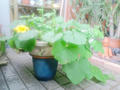 blog090531_1.jpg