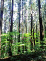 blog090607_1.jpg