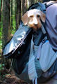 blog090607_2.jpg