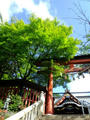 blog090607_4.jpg
