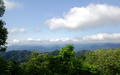 blog090607_5.jpg