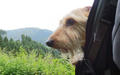 blog090607_7.jpg