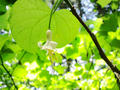 blog090607_8.jpg