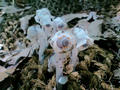 blog090607_9.jpg
