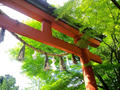 blog090609_1.jpg