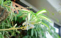 blog090614_1.jpg