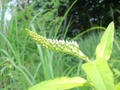 blog090620_02.jpg