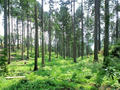 blog090620_03.jpg