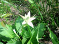 blog090620_04.jpg