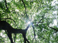 blog090620_06.jpg