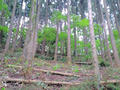 blog090620_07.jpg