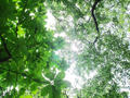blog090620_08.jpg