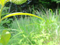 blog090620_09.jpg