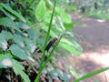 blog090620_12.jpg