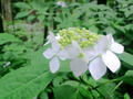 blog090620_13.jpg