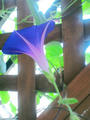 blog090701_1.JPG