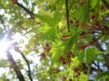 blog090702_1.JPG