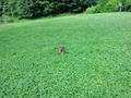 blog090705.JPG