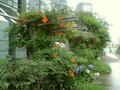 blog090709_1.JPG