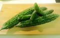 blog090804_1.JPG