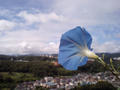 blog090806_1.JPG