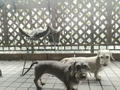 blog090811_1.JPG