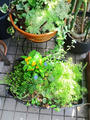 blog090813_1.JPG