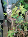 blog090824_1.JPG