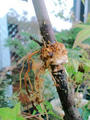 blog090824_2.JPG