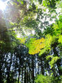 blog090905_02.JPG