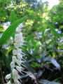 blog090905_03.JPG