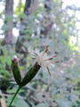 blog090905_04.JPG