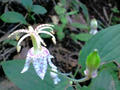 blog090905_10.JPG