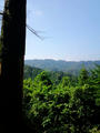 blog090905_11.JPG
