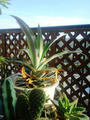 blog090913_2.JPG