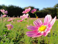 blog090923_1.JPG