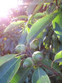 blog090923_2.JPG