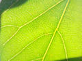 blog090927.JPG