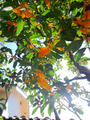 blog091011_2.JPG