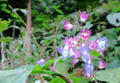 blog091012_02.JPG