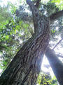 blog091012_03.JPG