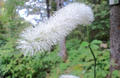 blog091012_12.JPG